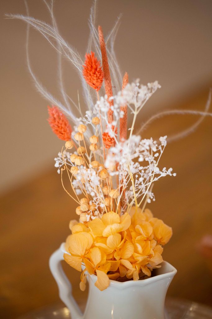 Photographe Finistère