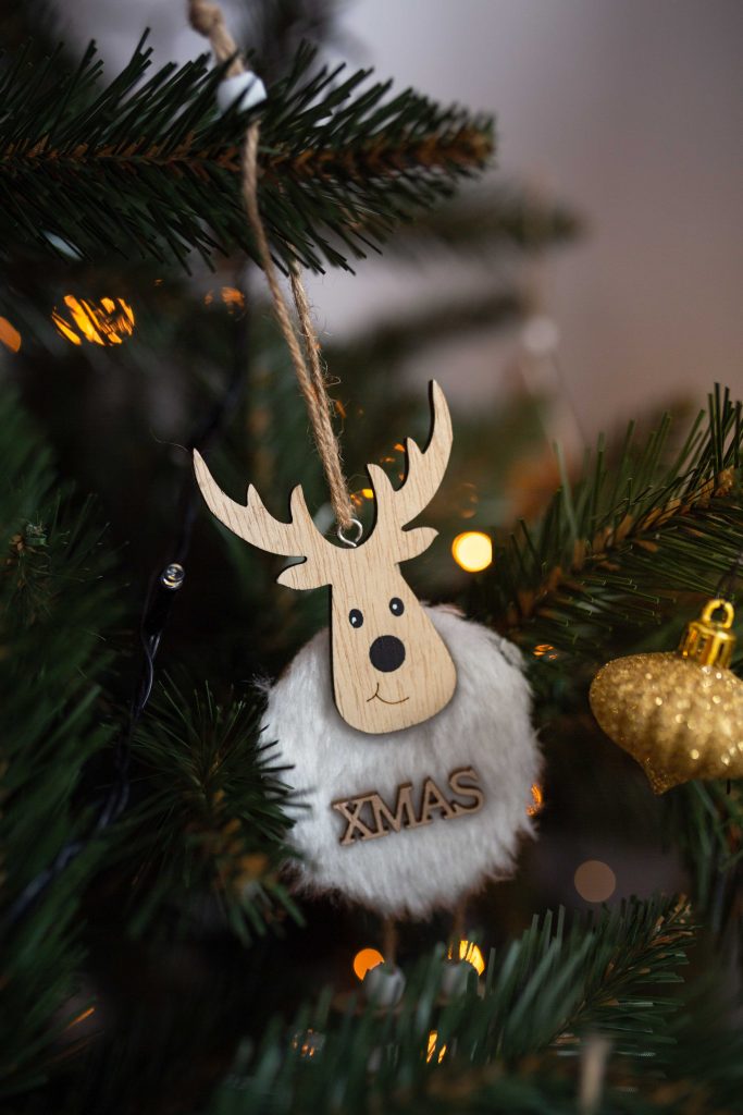 séance photo couple mont de marsan
