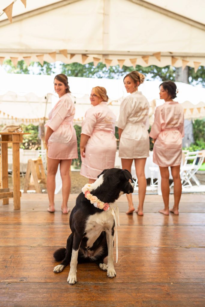 Photographe Mariage Pays Basque