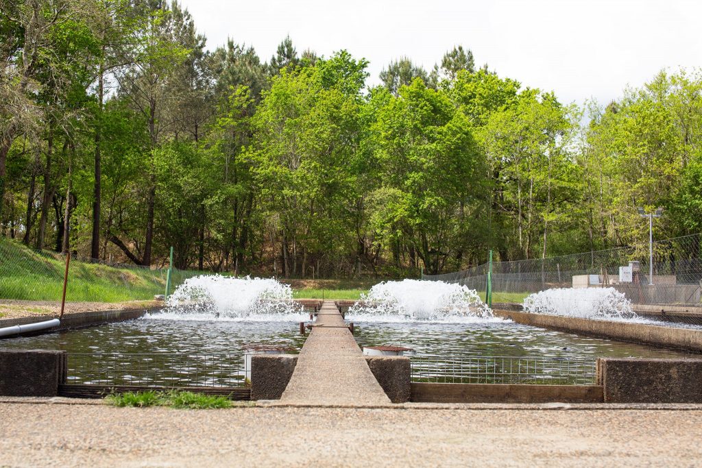 Photographe Entreprise Pisciculteur Truchetet Landes