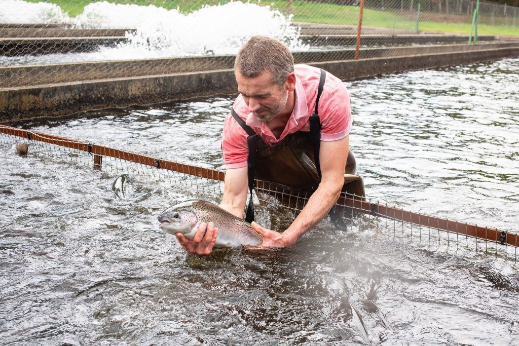Photographe Entreprise Pisciculteur Truchetet Landes