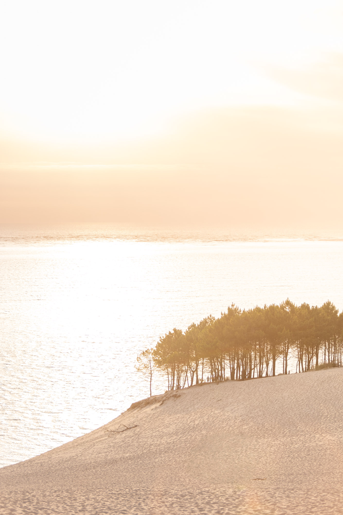photo de grossesse dune du pilat arcachon coucher du soleil