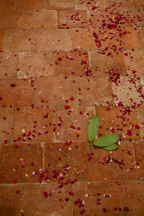 Photographe Mariage Landes 40