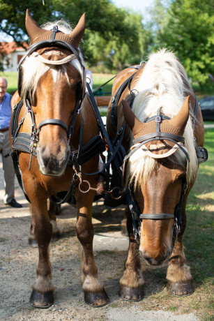 Photographe Mariage Bougue