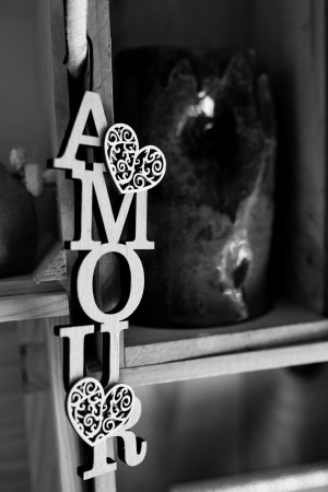 photographe mariage Landes