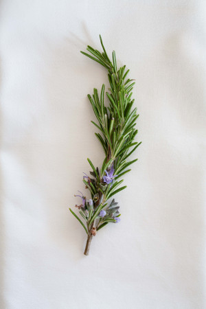 photographe mariage Gers