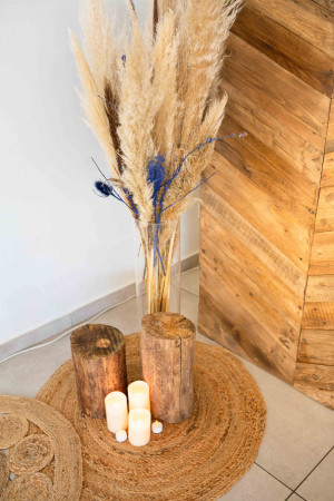 photographe mariage Landes