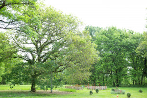 Photographe Mont de Marsan