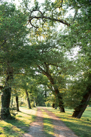 Mariage Chai de Montaulieu Arjuzanx Landes