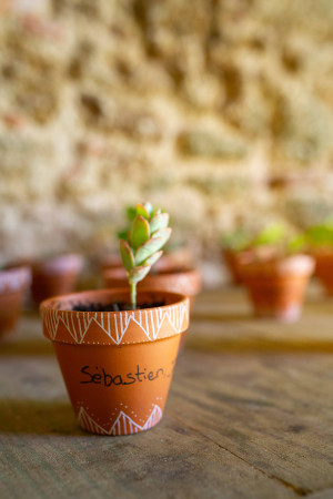photographe Mariage Chai de Montaulieu Arjuzanx Landes