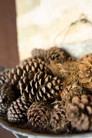 photographe Mariage Chai de Montaulieu Arjuzanx Landes