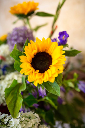 photographe Mariage Château Duviella Samadet Landes Laurie Perier Photographie