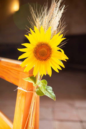 Photographe Mariage Bretagne