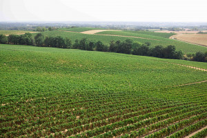 Photographe Mariage Gers Panjas