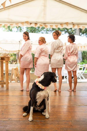 Photographe Mariage Pays Basque