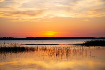 Photographe Grossesse Biscarrosse Landes