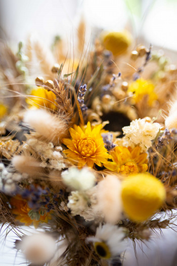 Photographe Mariage Landes