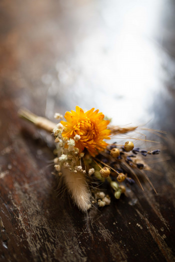 Photographe Mariage Landes